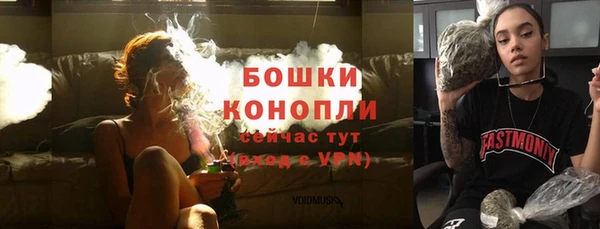 гидропоника Ельня