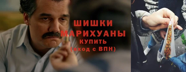 гидропоника Ельня