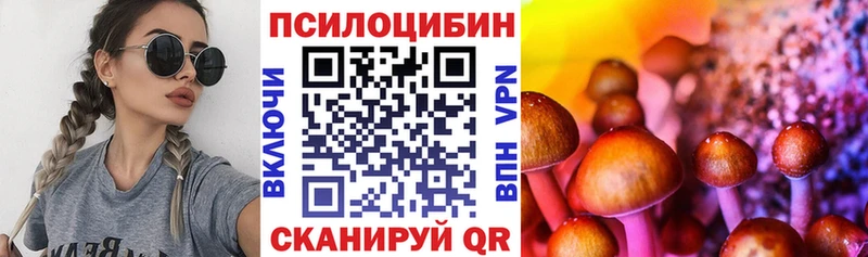 Псилоцибиновые грибы прущие грибы  Купить  Верхняя Тура 